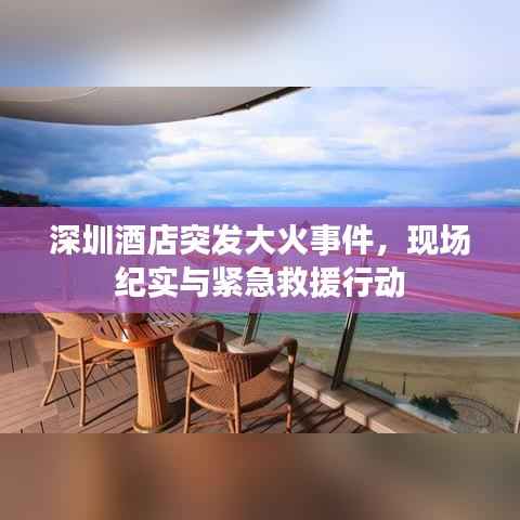 沉鱼落雁 第5页