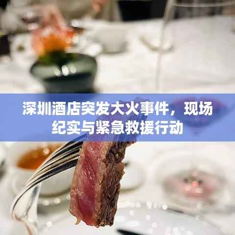 深圳酒店突发大火事件,现场纪实与紧急救援行动