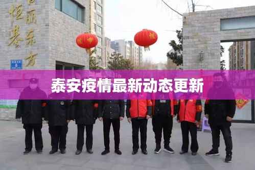 泰安疫情最新动态更新