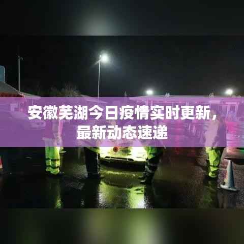 安徽芜湖今日疫情实时更新,最新动态速递