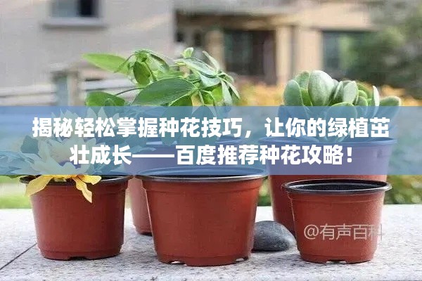 揭秘轻松掌握种花技巧,让你的绿植茁壮成长——百度推荐种花攻略!