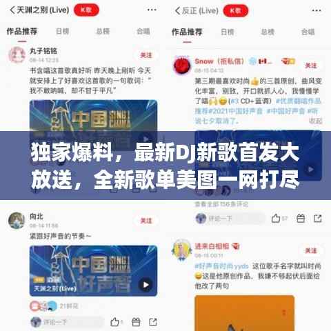 独家爆料，最新DJ新歌首发大放送，全新歌单美图一网打尽
