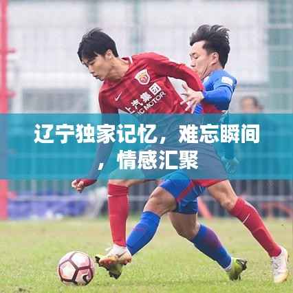 辽宁独家记忆,难忘瞬间,情感汇聚