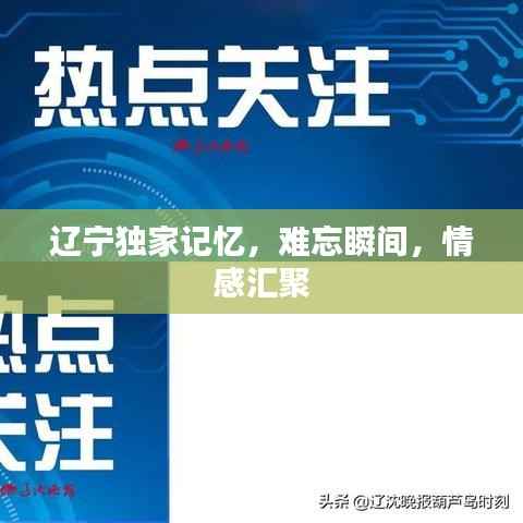辽宁独家记忆,难忘瞬间,情感汇聚