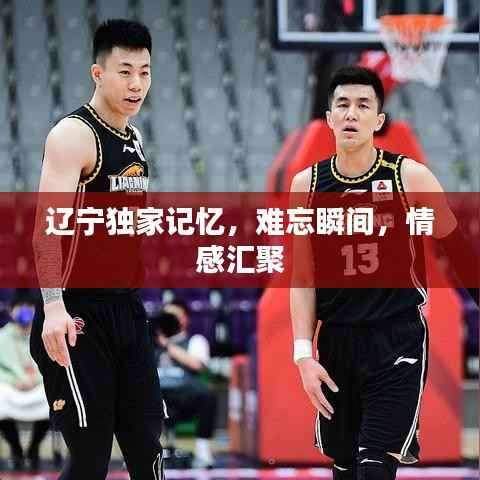 辽宁独家记忆,难忘瞬间,情感汇聚