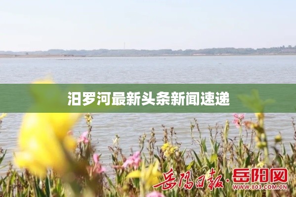 汨罗河最新头条新闻速递