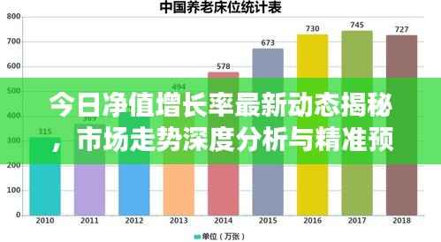 今日净值增长率最新动态揭秘，市场走势深度分析与精准预测