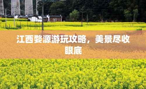 钗荆裙布 第5页