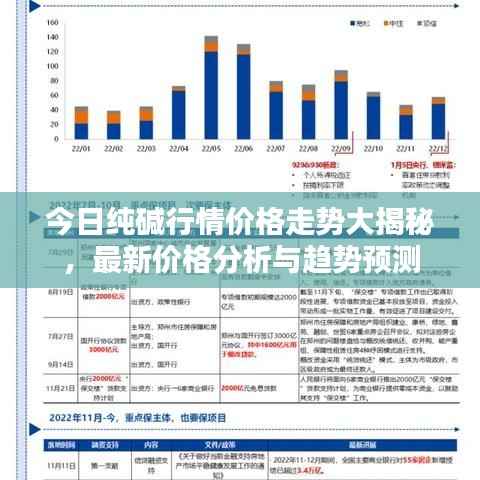 今日纯碱行情价格走势大揭秘,最新价格分析与趋势预测