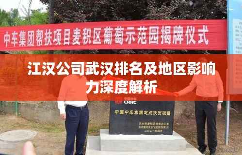 江汉公司武汉排名及地区影响力深度解析