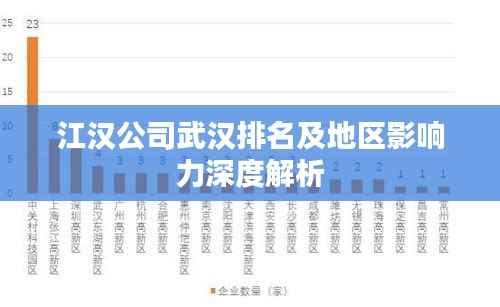 江汉公司武汉排名及地区影响力深度解析