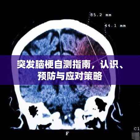 突发脑梗自测指南,认识、预防与应对策略