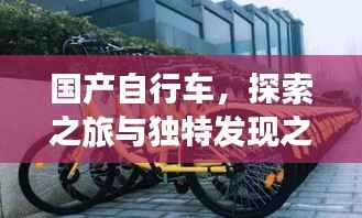 国产自行车,探索之旅与独特发现之旅