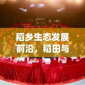 稻乡生态发展前沿,稻田与乡村融合新篇章