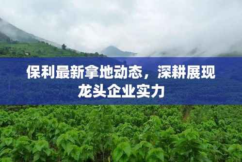 保利最新拿地动态,深耕展现龙头企业实力