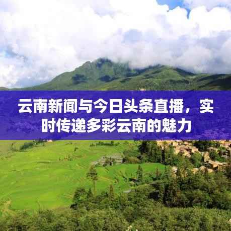 云南新闻与今日头条直播,实时传递多彩云南的魅力