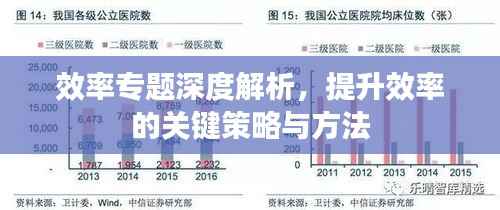 效率专题深度解析,提升效率的关键策略与方法