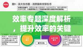 效率专题深度解析,提升效率的关键策略与方法