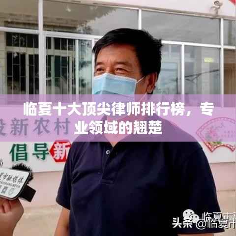 临夏十大顶尖律师排行榜,专业领域的翘楚