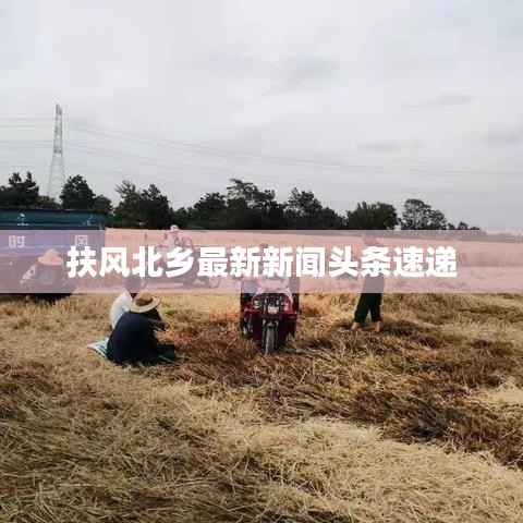 扶风北乡最新新闻头条速递