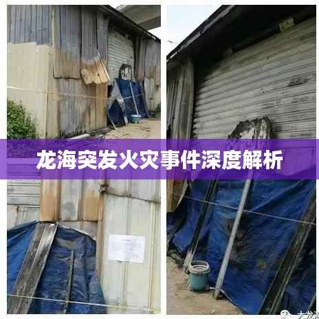 龙海突发火灾事件深度解析