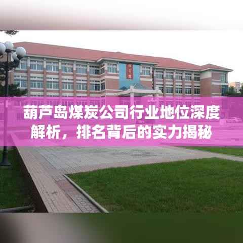 葫芦岛煤炭公司行业地位深度解析，排名背后的实力揭秘