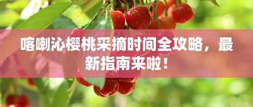 喀喇沁樱桃采摘时间全攻略,最新指南来啦!
