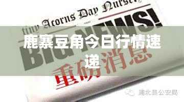 鹿寨豆角今日行情速递