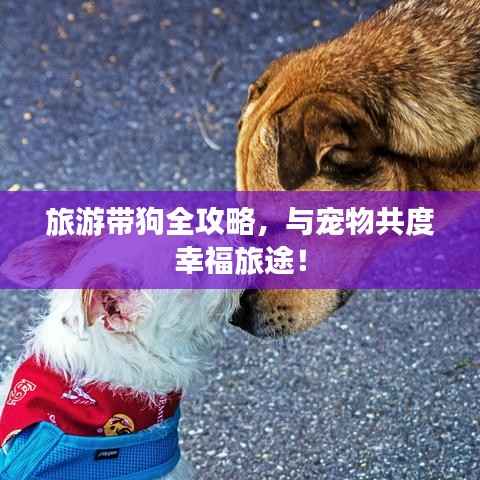 全始全终 第4页