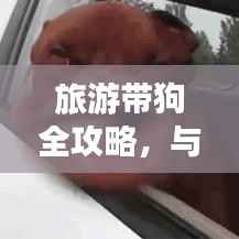 旅游带狗全攻略,与宠物共度幸福旅途!
