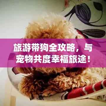 旅游带狗全攻略,与宠物共度幸福旅途!
