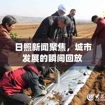 日照新闻聚焦,城市发展的瞬间回放