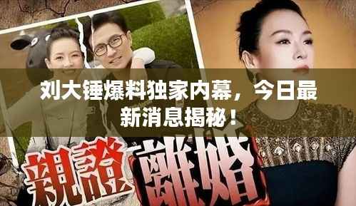 刘大锤爆料独家内幕，今日最新消息揭秘！