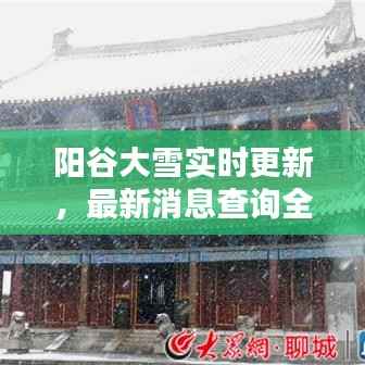 阳谷大雪实时更新，最新消息查询全掌握