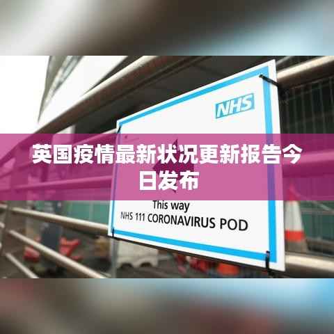 英国疫情最新状况更新报告今日发布