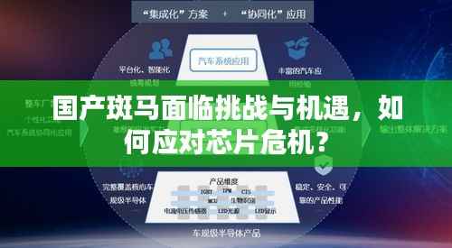 国产斑马面临挑战与机遇，如何应对芯片危机？