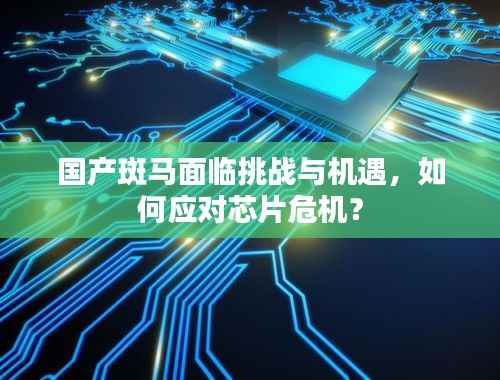 国产斑马面临挑战与机遇,如何应对芯片危机?
