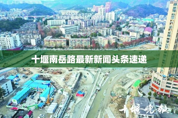 十堰南岳路最新新闻头条速递