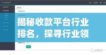 揭秘收款平台行业排名,探寻行业领军者的成功秘诀!