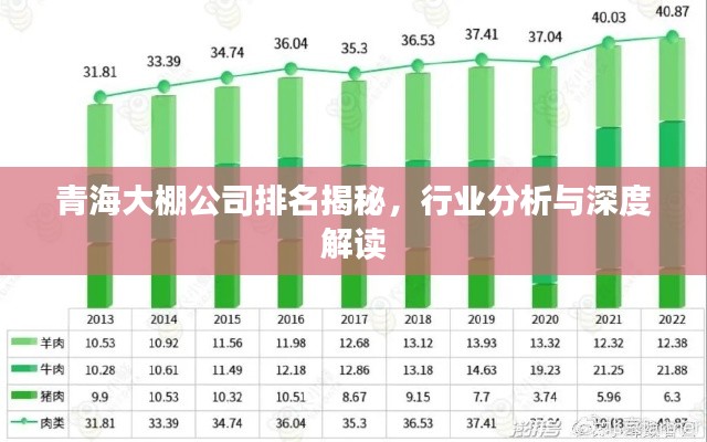 青海大棚公司排名揭秘,行业分析与深度解读