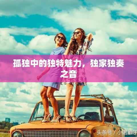 孤独中的独特魅力，独家独奏之音