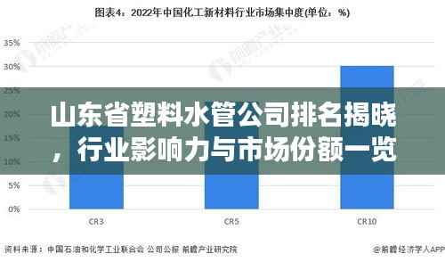 山东省塑料水管公司排名揭晓,行业影响力与市场份额一览