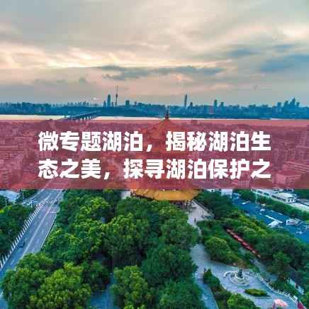 微专题湖泊,揭秘湖泊生态之美,探寻湖泊保护之道