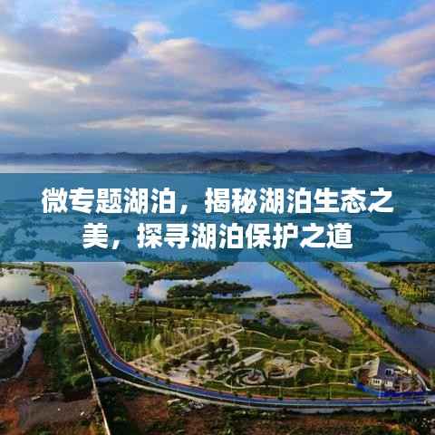 微专题湖泊,揭秘湖泊生态之美,探寻湖泊保护之道