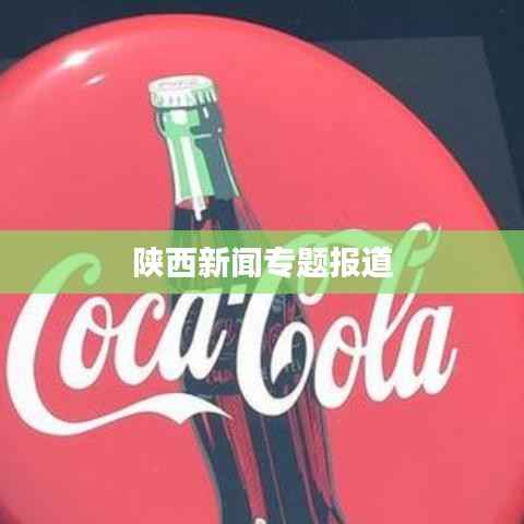 陕西新闻专题报道