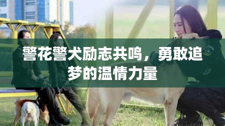 警花警犬励志共鸣，勇敢追梦的温情力量