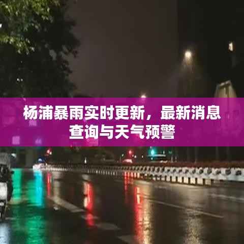 杨浦暴雨实时更新，最新消息查询与天气预警