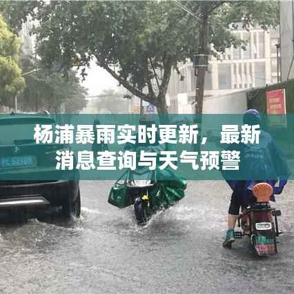 杨浦暴雨实时更新,最新消息查询与天气预警