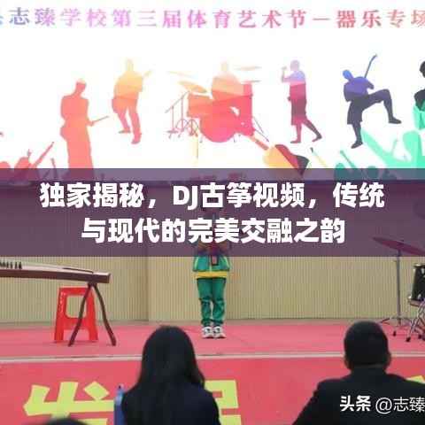 独家揭秘,DJ古筝视频,传统与现代的完美交融之韵