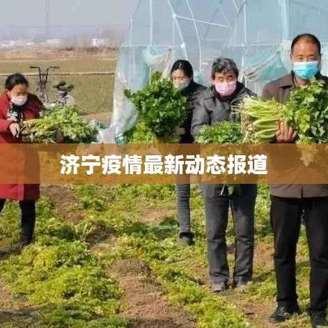 济宁疫情最新动态报道